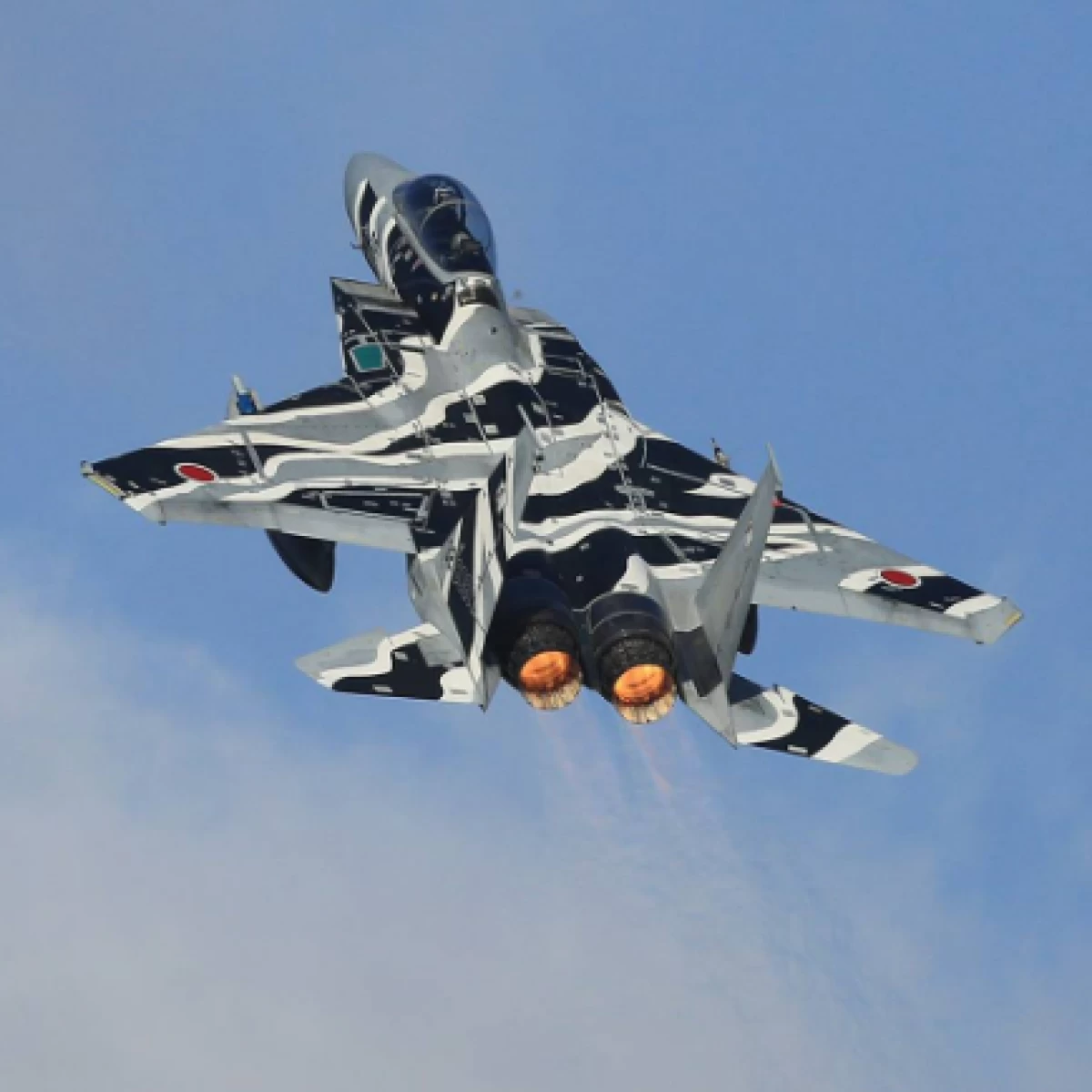JSDFソーラープロ 空自 飛行教導群モデル／　JASDF Solar Pro Tactical Fighter Training Group [S802M-02]